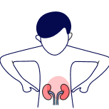 Kidney